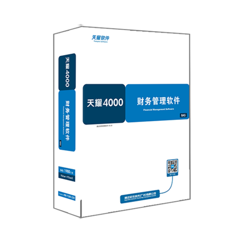 天耀4000 Online 财务管理软件-BAS（标准系列）
